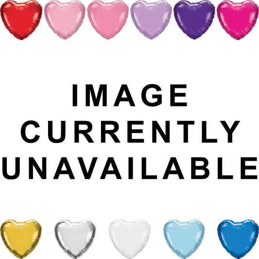 Ballet Slippers - Holographic